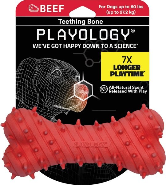PLAYOLOGY Puppy Teething Bone Beef Dog Toy, Red, Large