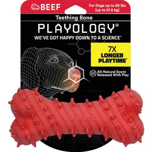 PLAYOLOGY Puppy Teething Bone Beef Dog Toy Red Large Chewy