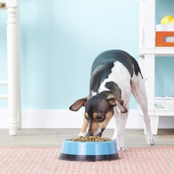 JW Pet Skid Stop Basic Non-Skid Plastic Dog & Cat Bowl, 2-cup slide 2 of 3