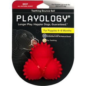 PLAYOLOGY Puppy Sensory Ball Peanut Butter Dog Toy, Blue, Large 