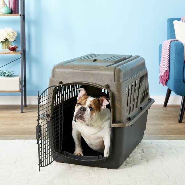 PETMATE Ruff Maxx Dog & Cat Kennel, Camo/Black, 32-in - Chewy.com