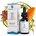 Prana Pets Intestinal Defense Dewormer Medicine for Dogs & Cats, 2-oz bottle