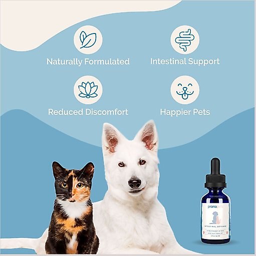 Prana Pets Intestinal Defense Dewormer Medicine for Dogs & Cats, 2-oz bottle