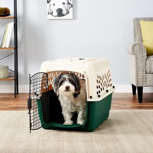 Petmate Ruff Maxx Dog & Cat Kennel, Off White/Green, 28-in