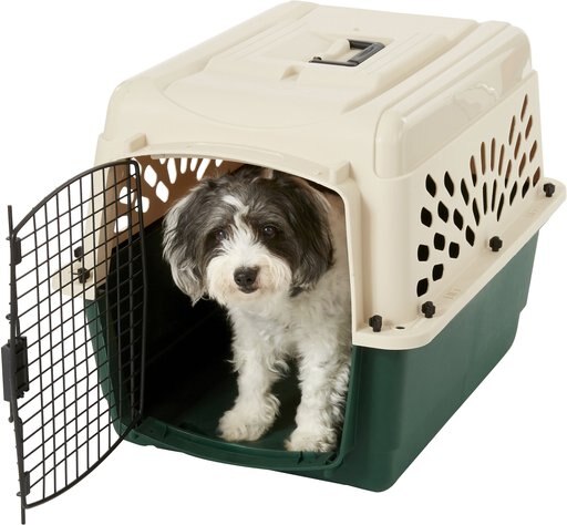 Petmate Ruff Maxx Dog & Cat Kennel, Off White/Green, 28-in