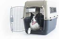 Petmate Ultra Vari Dog Kennel, Taupe/Black, 32-in, 30-50-lbs