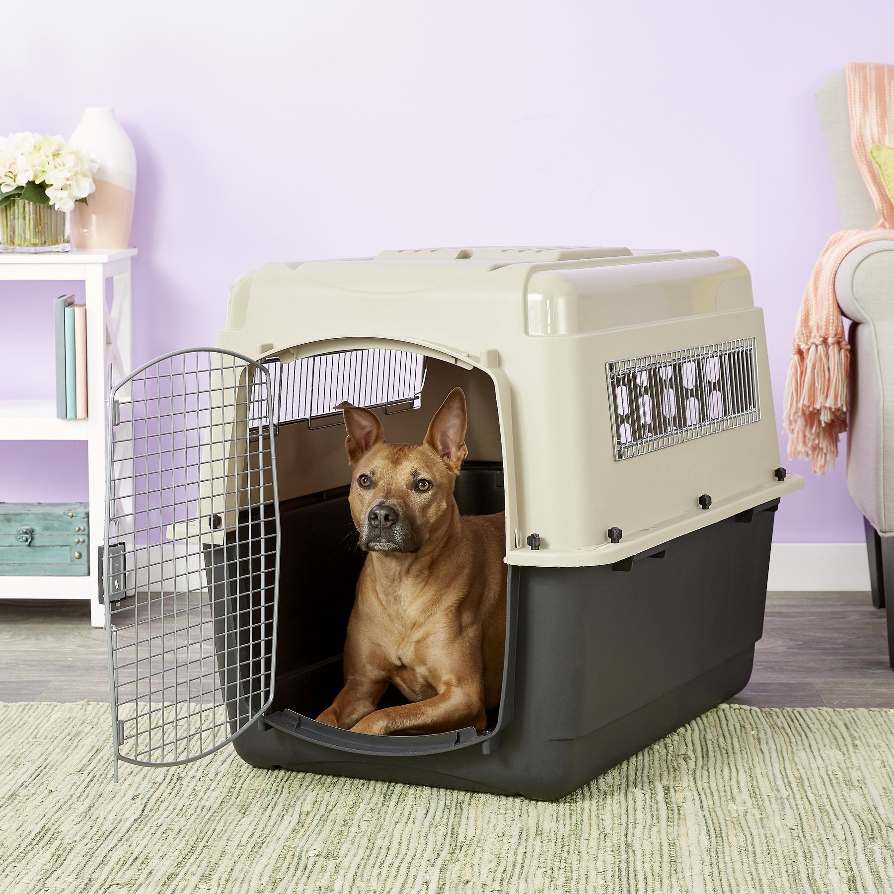 PETMATE Ultra Vari Dog & Cat Kennel, Taupe/Black, 36-in - Chewy.com
