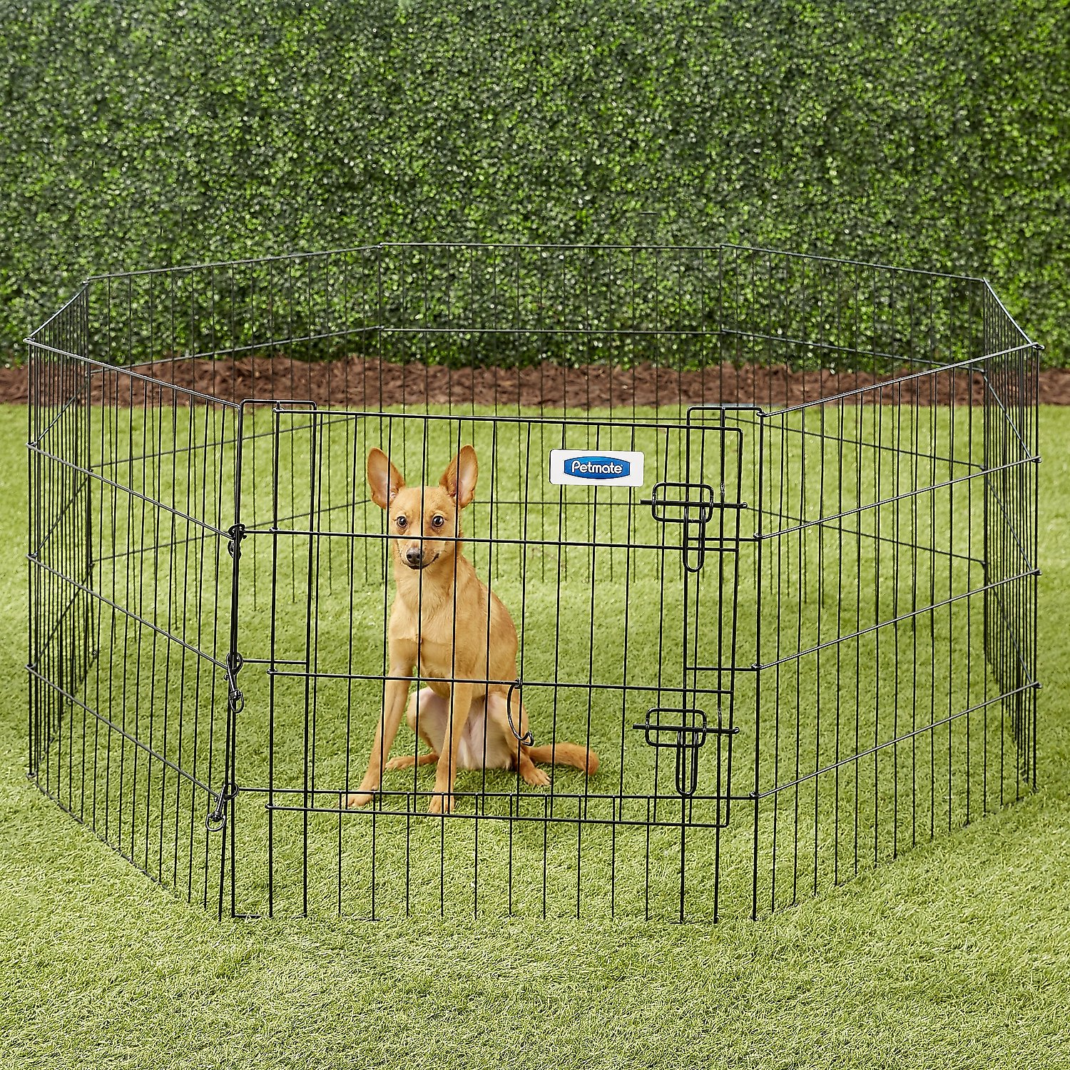 PETMATE 8-Panel Wire Dog Exercise Pen with Door, Black, Medium - Chewy.com