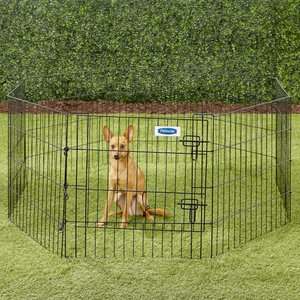 FRISCO Dog & Small Pet Wire Exercise Pen with Step-Through Door, Black ...