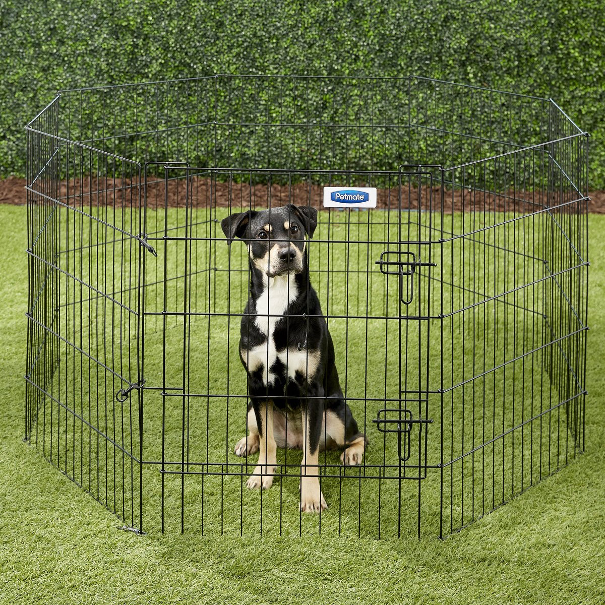 Petmate shop exercise pen