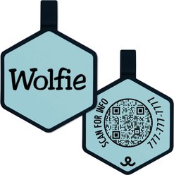Besties QR Code Silicone Dog ID Tag, Sky Blue slide 1 of 8