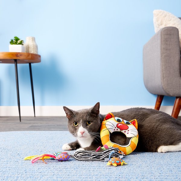 Catit Play Pirates Door Hanger Cat Toy