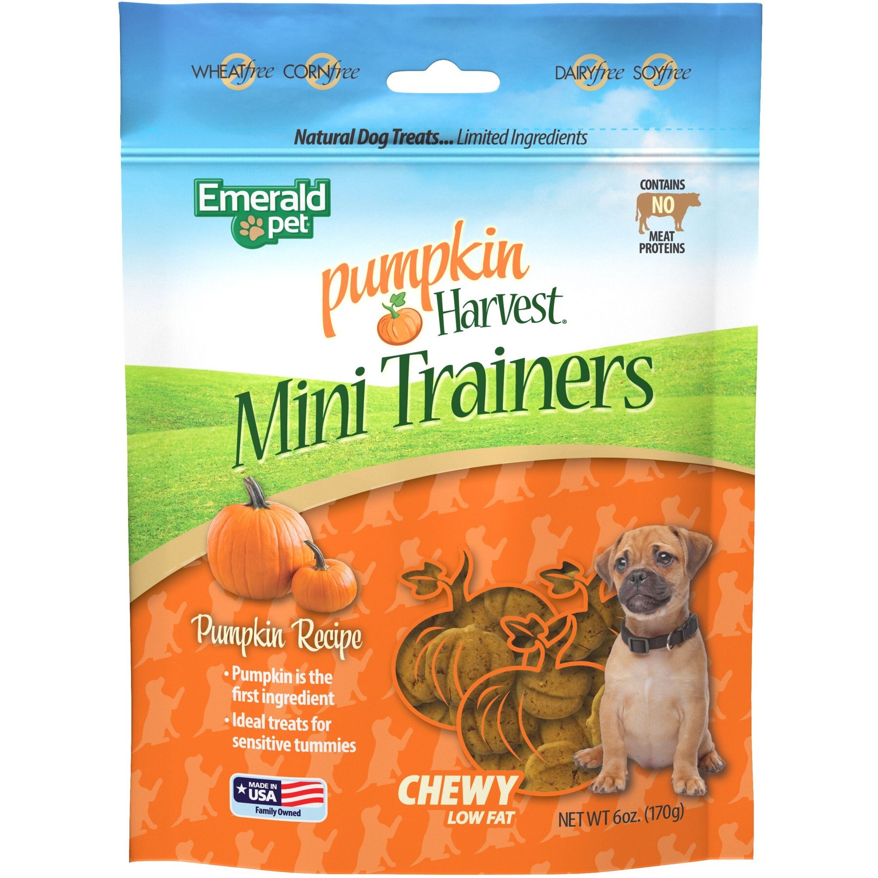 EMERALD PET Pumpkin Harvest Mini Trainers Pumpkin Soft & Chewy Dog