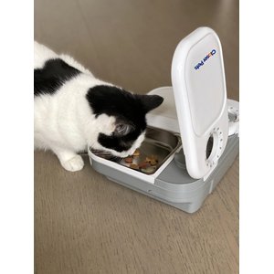 Closer Pets Two-meal Automatic Cat & Dog Feeder, White