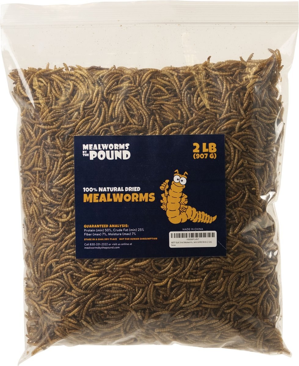 MEALWORMS BY THE POUND Mealworms Treat, 2lb bag