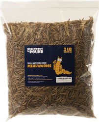 Mealworms By The Pound Mealworms Treat, 2-lb bag