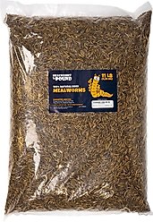 Mealworms By The Pound Mealworms Treat, 11-lb bag