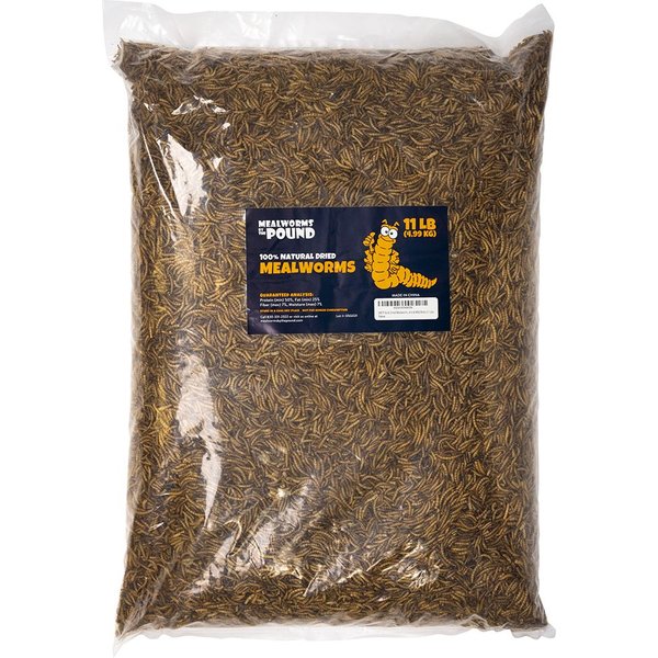 MEALWORMS BY THE POUND Mealworms Treat, 11lb bag