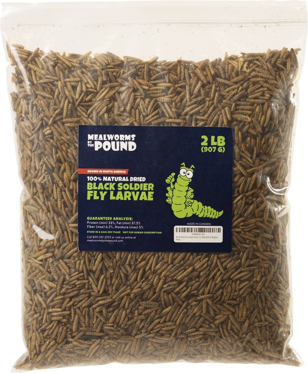 MEALWORMS BY THE POUND Black Soldier Fly Larvae Treat, 2lb bag