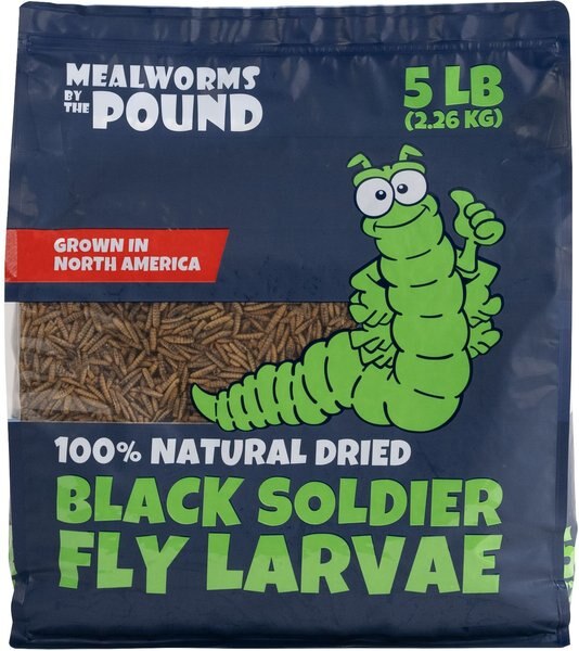 MEALWORMS BY THE POUND Black Soldier Fly Larvae Treat, 5lb bag
