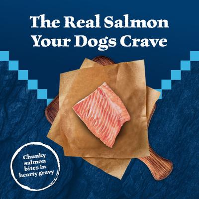 Show full view: Blue Buffalo Wilderness Trail Toppers Wild Cuts Chunky Salmon Bites in Hearty Gravy Grain-Free Dog Food Topper, 3-oz, case of 24 slide 4 of 12