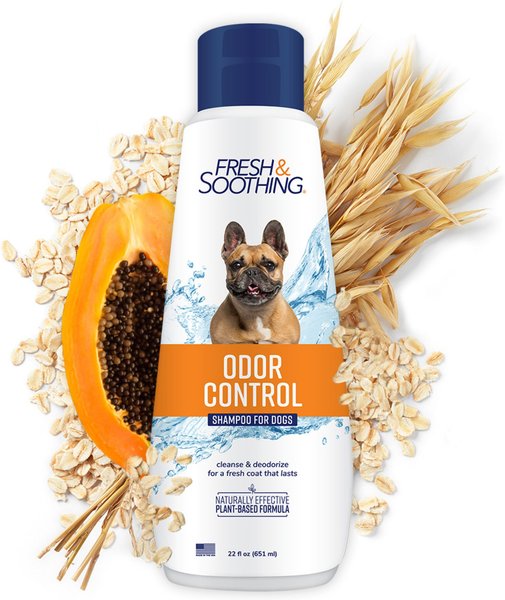 Best odor control dog shampoo best sale