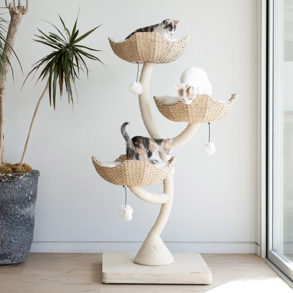 MAU LIFESTYLE Ivy 3, 53-in Modern Cat Tree, Natural - Chewy.com