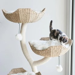 Mau Lifestyle Ivy 3, 53-in Modern Cat Tree, Natural slide 2 of 6