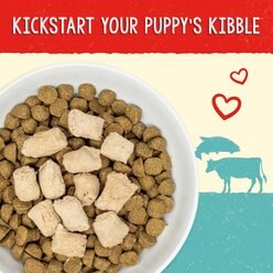Stella & Chewy's Freeze-Dried Raw Meal Mixers Grain-Free Protein Rich Beef & Salmon Recipe Dog Food, 3.5-oz bag