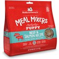 Stella & Chewy's Freeze-Dried Raw Meal Mixers Grain-Free Protein Rich Beef & Salmon Recipe Dog Food, 3.5-oz bag
