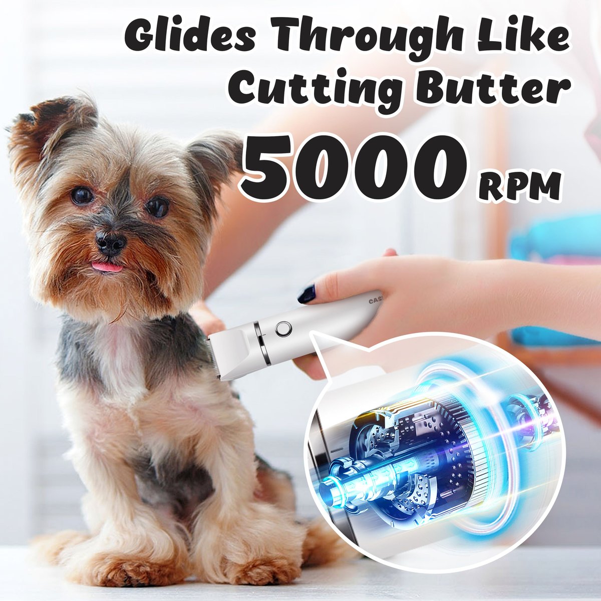 CASFUY Small Low Noise 2 in 1 Trimming Paw Face Narrow Dog hair