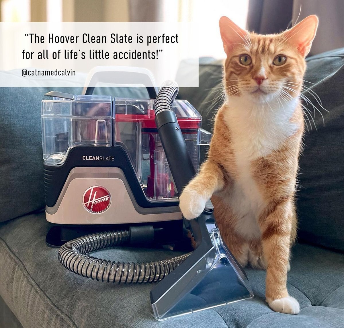 HOOVER Cleanslate Dog & Cat Stain Remover, White