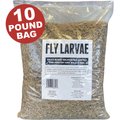 Fickle Fowl Bag Fly Larvae Farm Treat, 10-lb bag