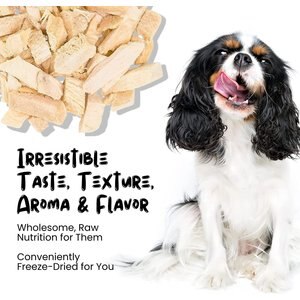 Sprankles Chicken Breast Grain-Free Freeze-Dried Dog & Cat Treats, 7-oz bag