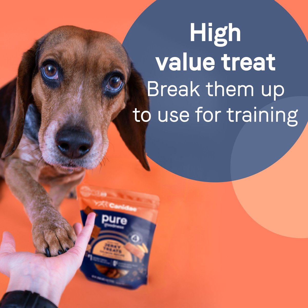 Meaty Treats Chicken & Potato Recipe Grain-Free Jerky Dog Treats, 64-oz canister