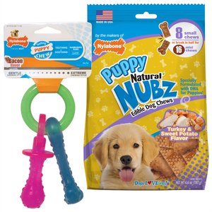 Nylabone Nubz Turkey & Sweet Potato Chew Treat, 8 count + Puppy Chew Teething Pacifier Dog Toy, Small