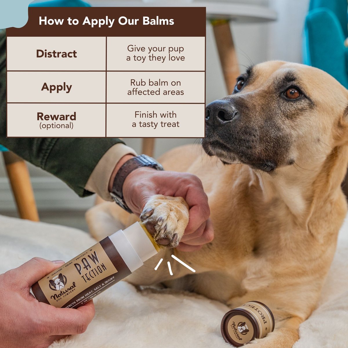 NATURAL DOG COMPANY PawTection Dog Paw Protector Balm, 2oz stick