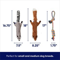 Frisco Forest Friends Plush, Rope & TPR Variety Pack Dog Toy, Multi-Color, Small/Medium, 10 count slide 2 of 5