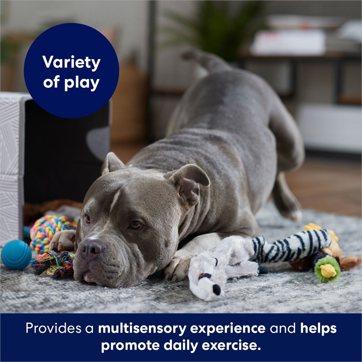 FRISCO Forest Friends Plush, Rope & TPR Variety Pack Dog Toy, Multi