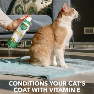 10 Best Yard Flea & Tick Treatment for Cats 2024: According to Reviews ...