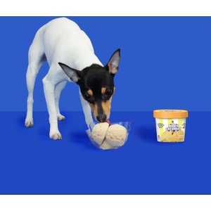 Pooch Creamery Peanut Butter Ice Cream Mix Dog Treat, 2.32-oz cup