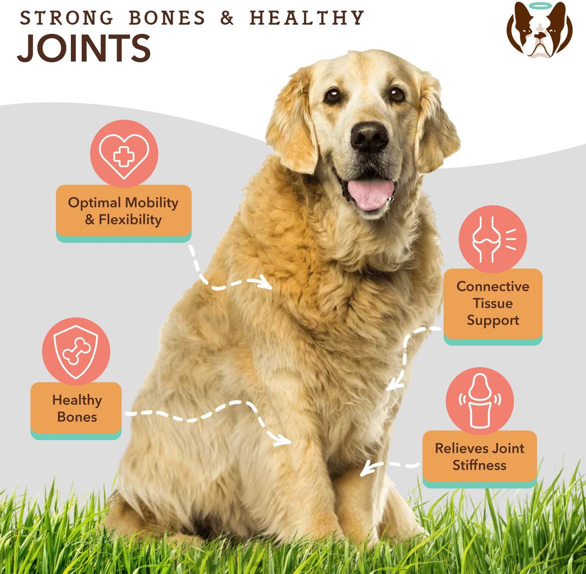 The dog company joint sales mobility