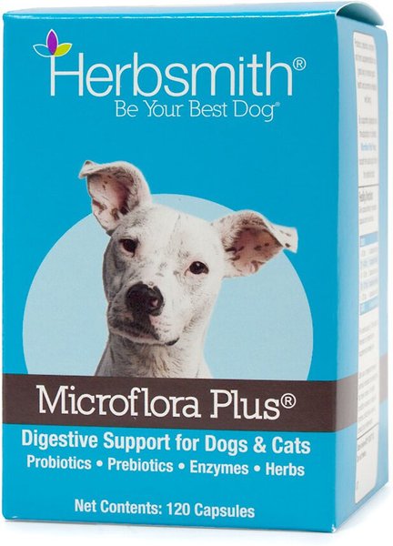 Herbsmith Microflora Plus for Digestion Capsules Daily Dog & Cat Supplement, 120 count slide 1 of 5