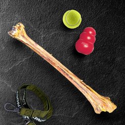 Savannah Pet Food Ostrich Long Bone Dog Treat, 1 count