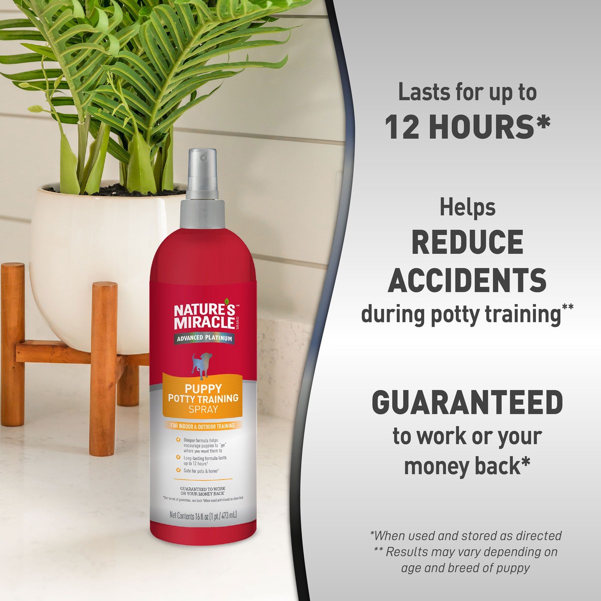 Nature's miracle housebreaking 2024 potty training spray