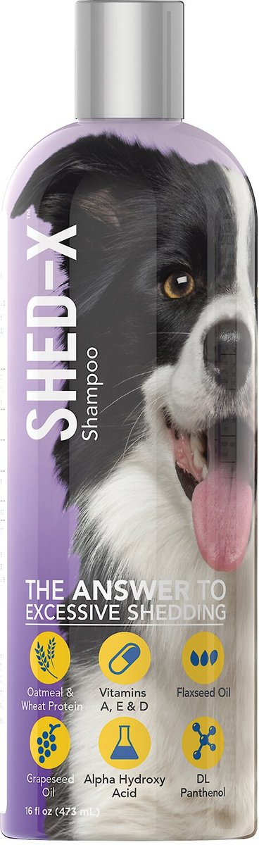 SHED X Shed Control Shampoo for Dogs 16 oz bottle Chewy