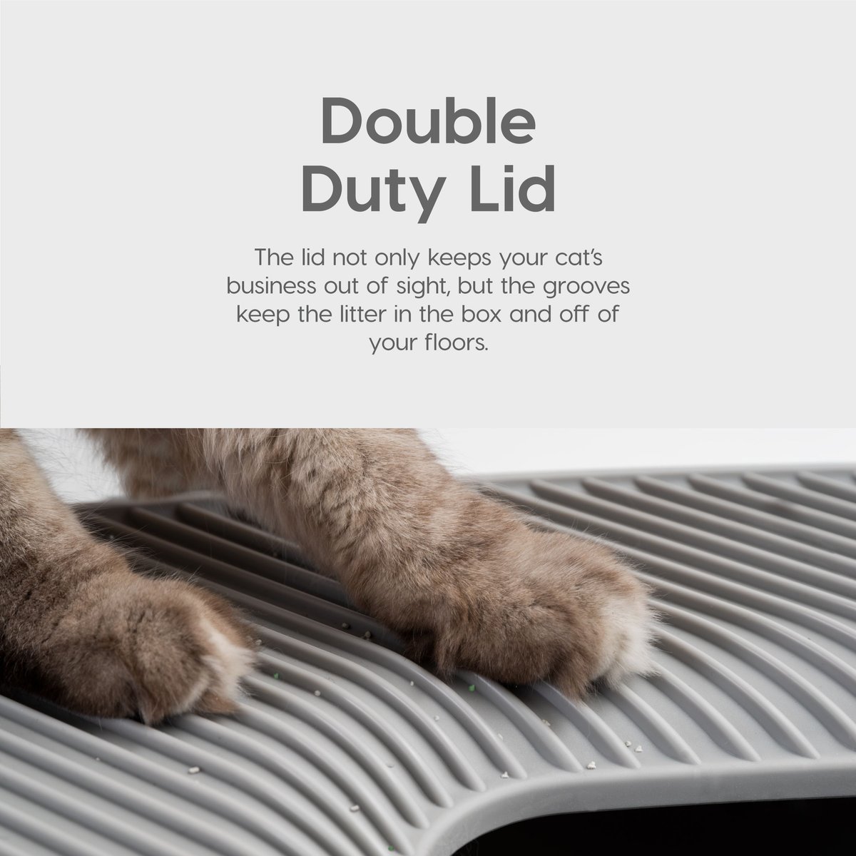 IRIS USA Premium Square Top Entry Cat Litter Box with Scoop, White