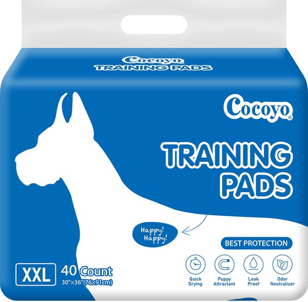 Rocket & Rex Premium Reusable Puppy Training Pads Bone Print 4 Count X-Large