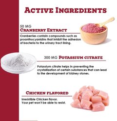 K-Plus Potassium Citrate Plus Cranberry Granules for Dogs & Cats, 300g slide 2 of 9