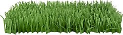 SmartyKat Instincts Meadow Mayhem Paper Grass Hide & Seek Cat Toy, 2-pack